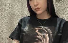 [现实真人HTML浏览器汉化]毁灭者 驱逐舰 Destroyer v0.81 作弊 [电脑9.66G/FM/百度]